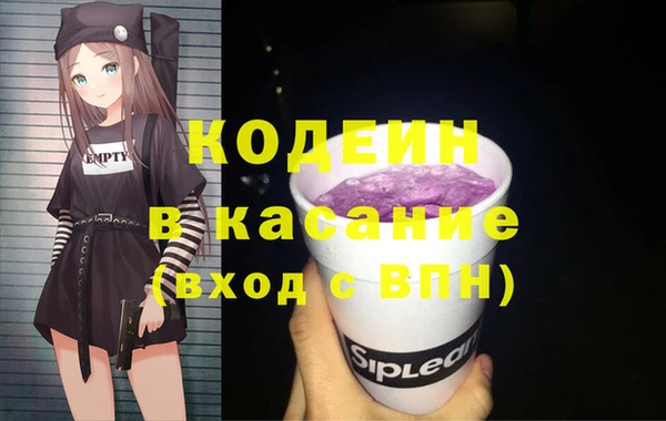 прущие грибы Абаза