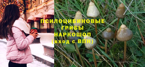 прущие грибы Абаза