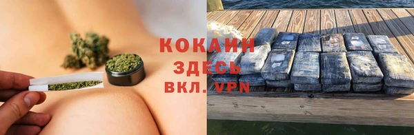 прущие грибы Абаза