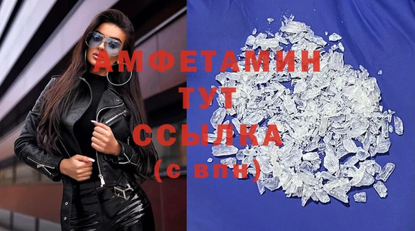 прущие грибы Абаза