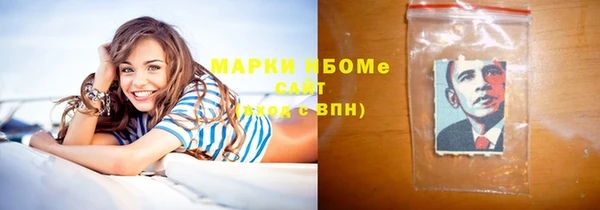 прущие грибы Абаза