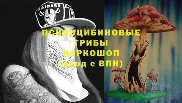 прущие грибы Абаза