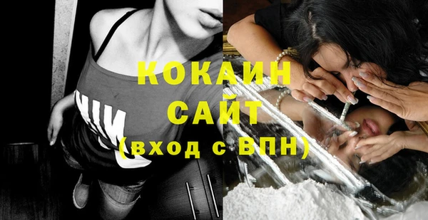прущие грибы Абаза