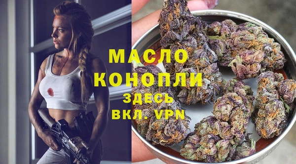 прущие грибы Абаза