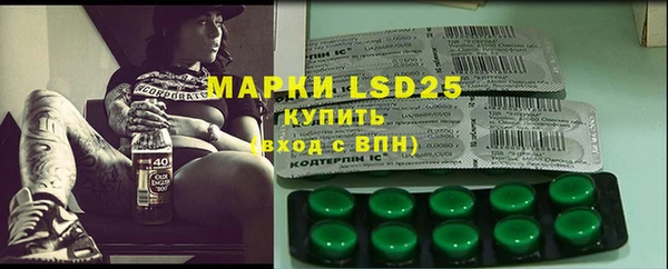 прущие грибы Абаза