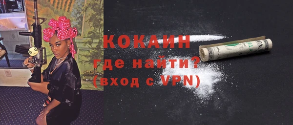 прущие грибы Абаза