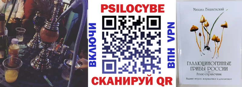 МЕГА вход наркошоп Благовещенск Псилоцибиновые грибы MAGIC MUSHROOMS
