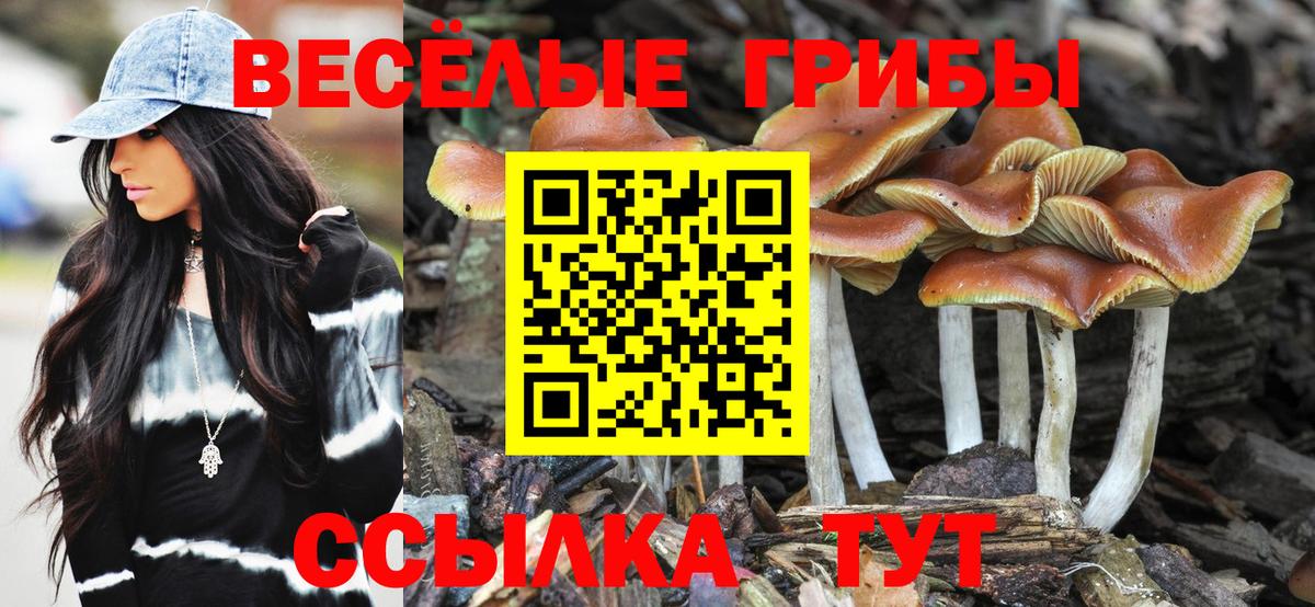 наркотики  Псилоцибиновые грибы Psilocybine cubensis  Вход с VPN  Благовещенск  Галлюциногенные грибы Magic Shrooms 
